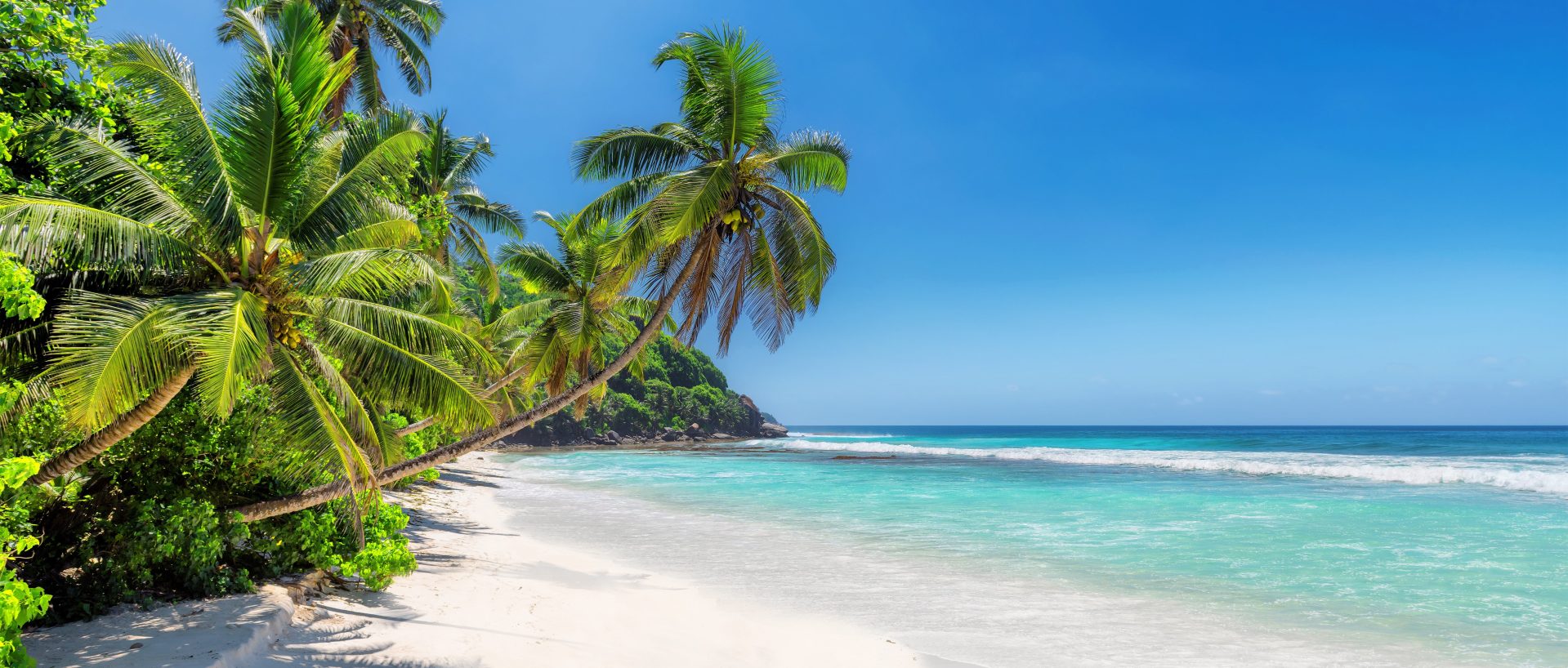 Caribbean Beach Edited
