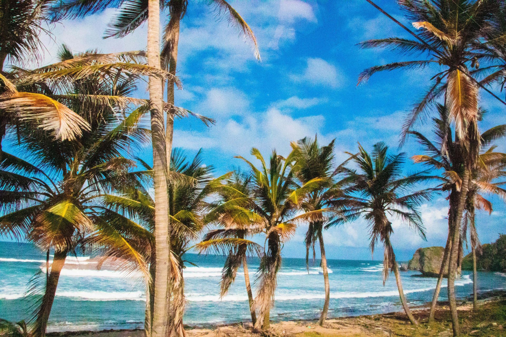 Barbados beach 3 min min min1