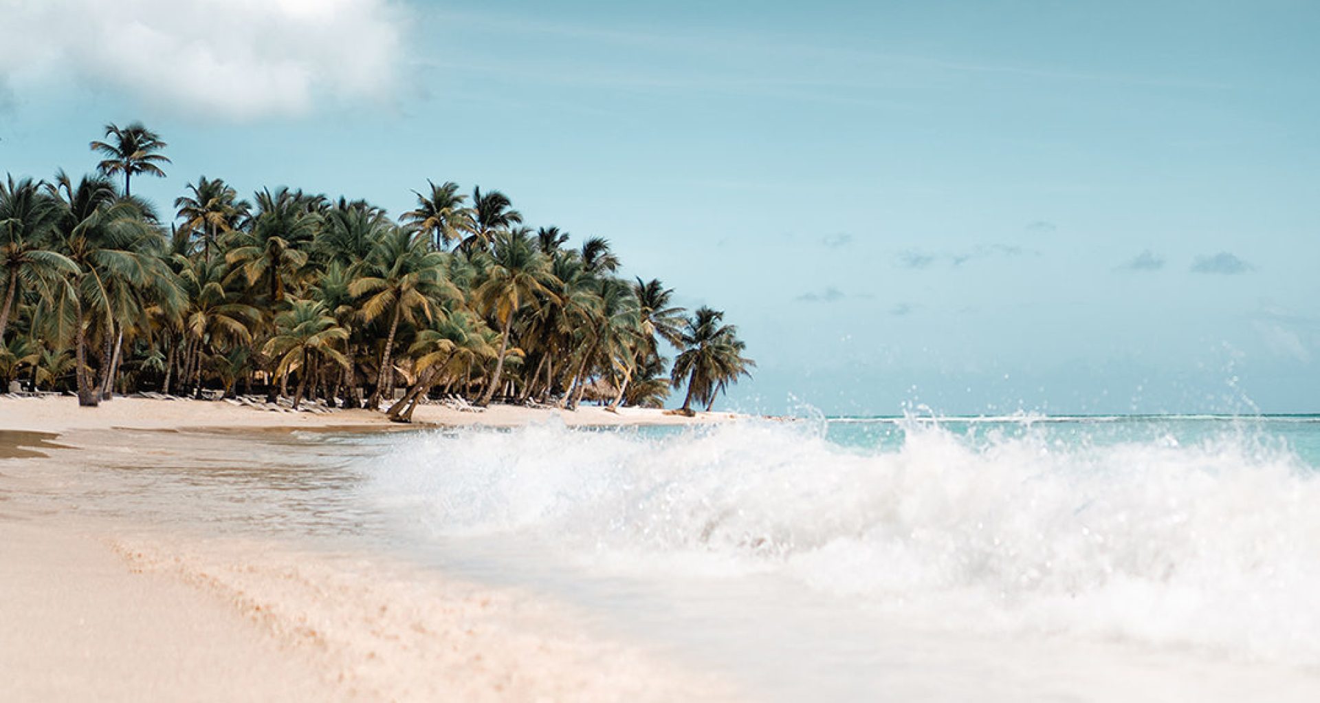 Caribbean beautiful beach wave