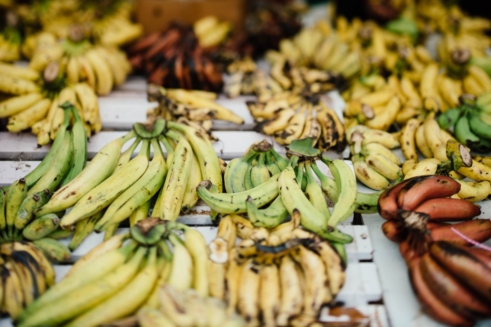 Bunches of ripe and green plantain at a market