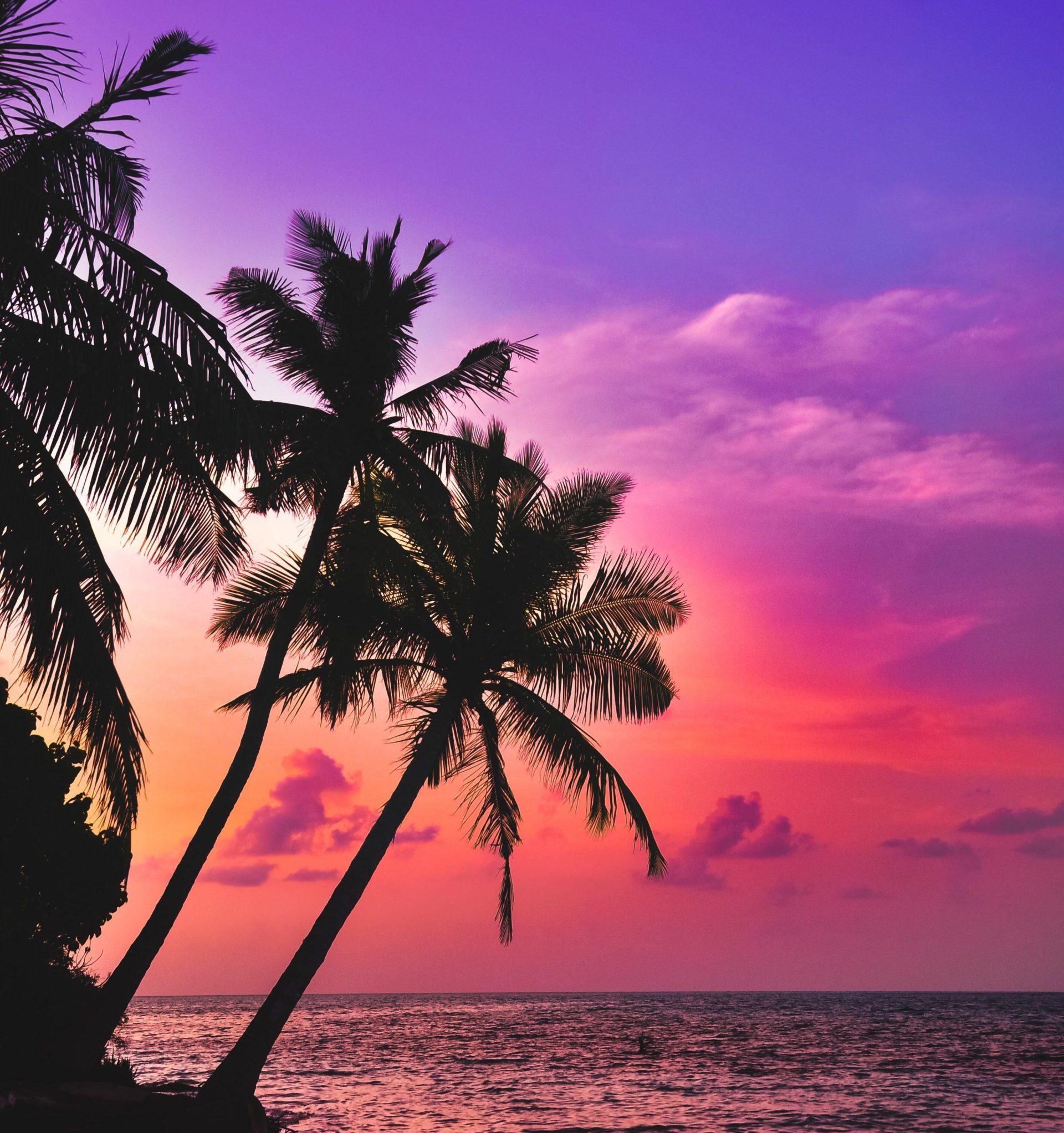 Saiph muhammad C Ss8ai N Lk I unsplash