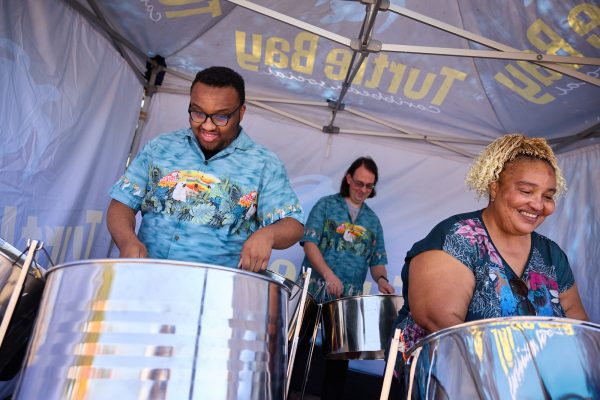 Turtle Bay CARNIVAL JCR53779 Web Res