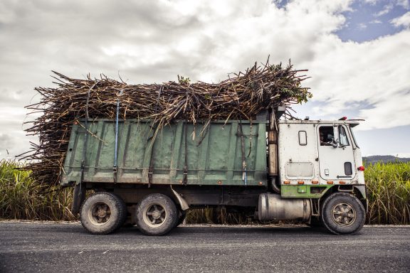 Appleton Cane Truck 2