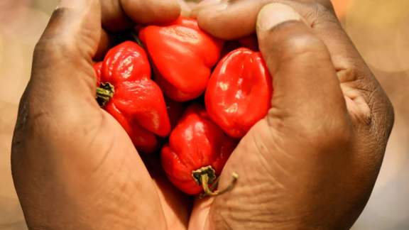 Chilli Hands