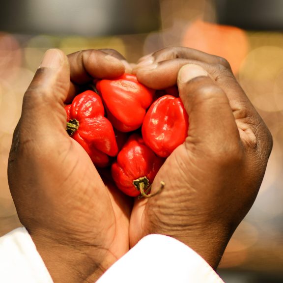 Chilli Heart Colin Chef